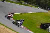 Lower Group Multicolour Bikes